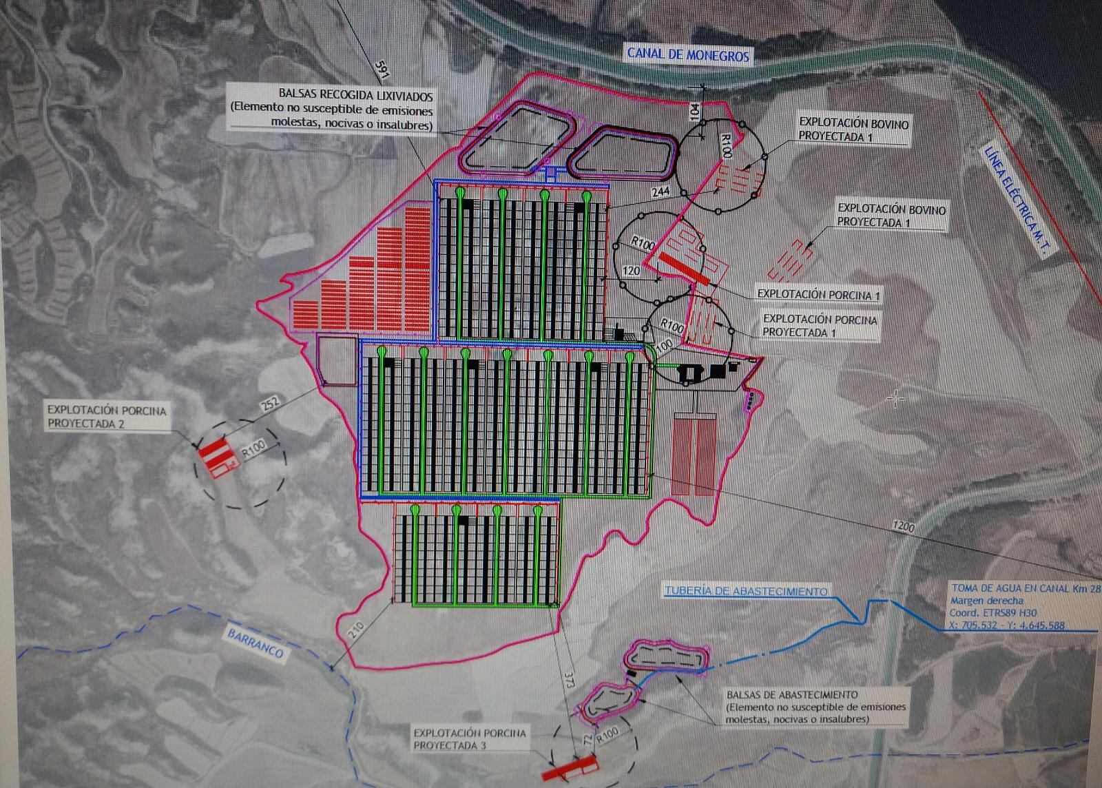 El proyecto de granja de vacuno no ha pasado la Declaración de Impacto Ambiental