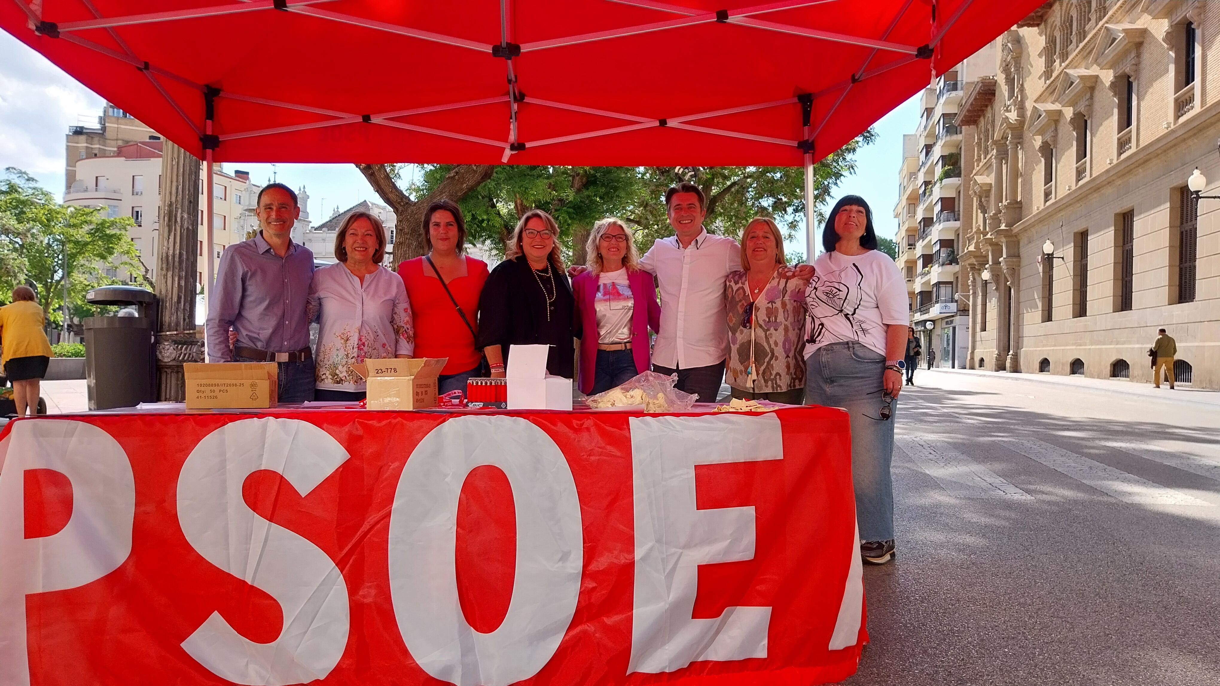 Rosa Serrano, PSOE