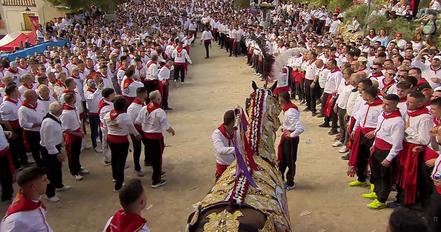 Caballo ganador de la Carrera de los Caballos del Vino de Caravaca 2025