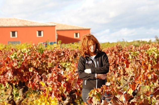 Los viñedos de Altolandón se cultivan a 1.100 metros de altitud.