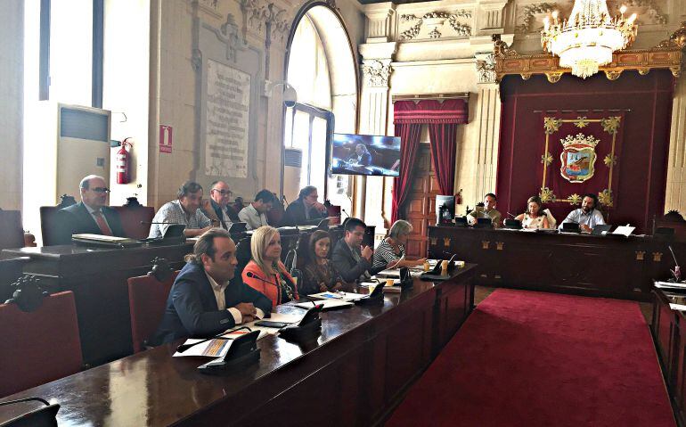 Comisión de Medio Ambiente celebrada este miércoles en el ayuntamiento de Málaga