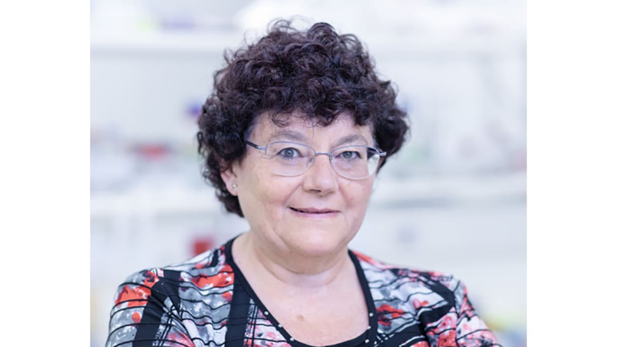 Entrevista a la inmunóloga África González sobre la activación del Plan Medicina de la UVigo