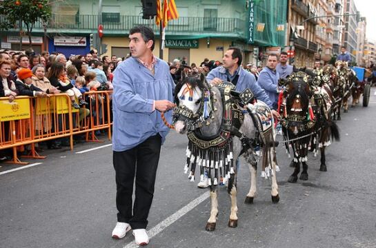 Bencidión animales San Antonio Abad