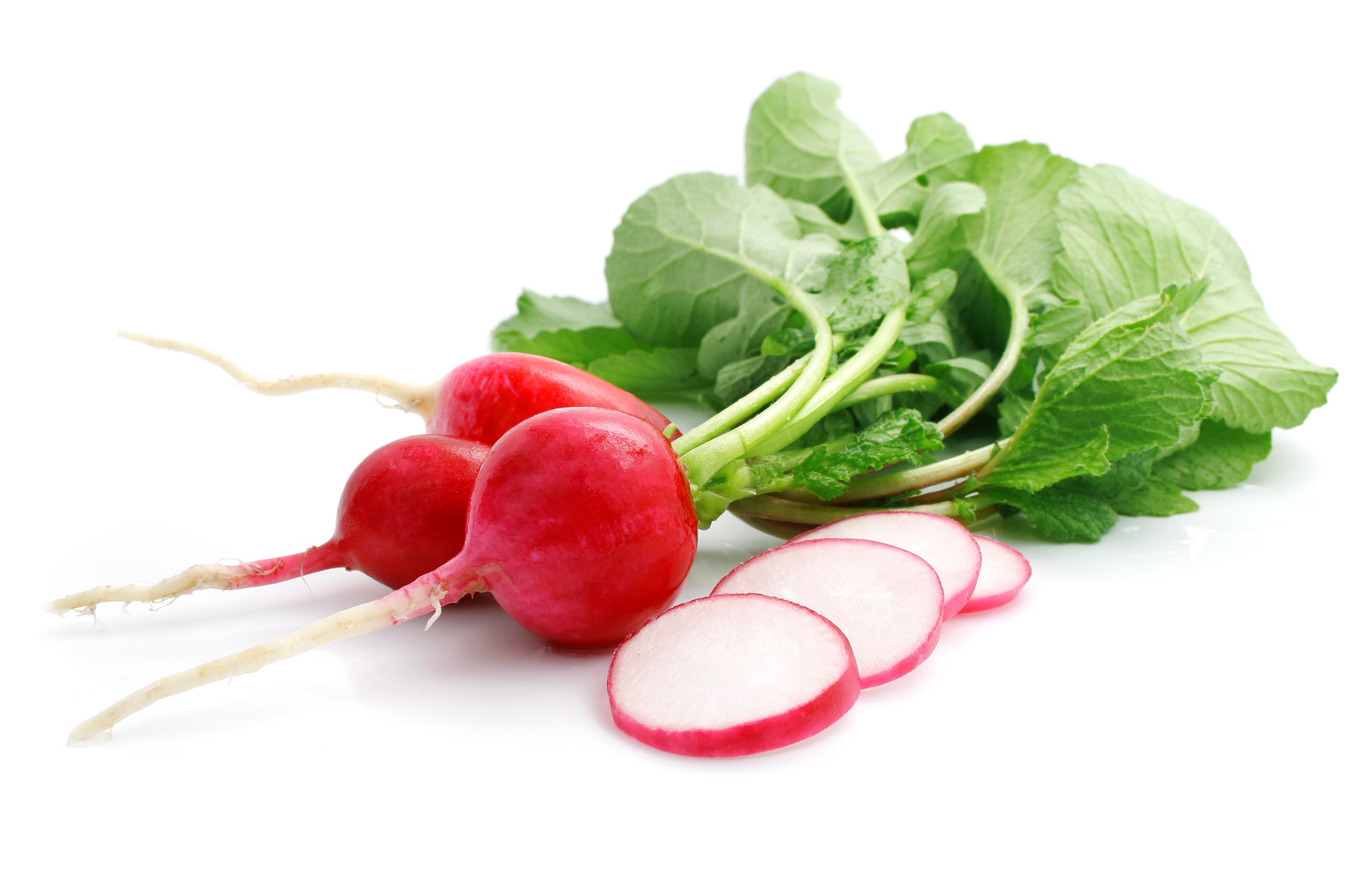 bunch fresh radish with cut isolated on white background