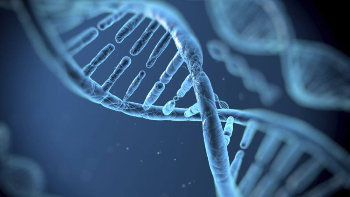 Descobrim els 100 gens que ens fan ser humans