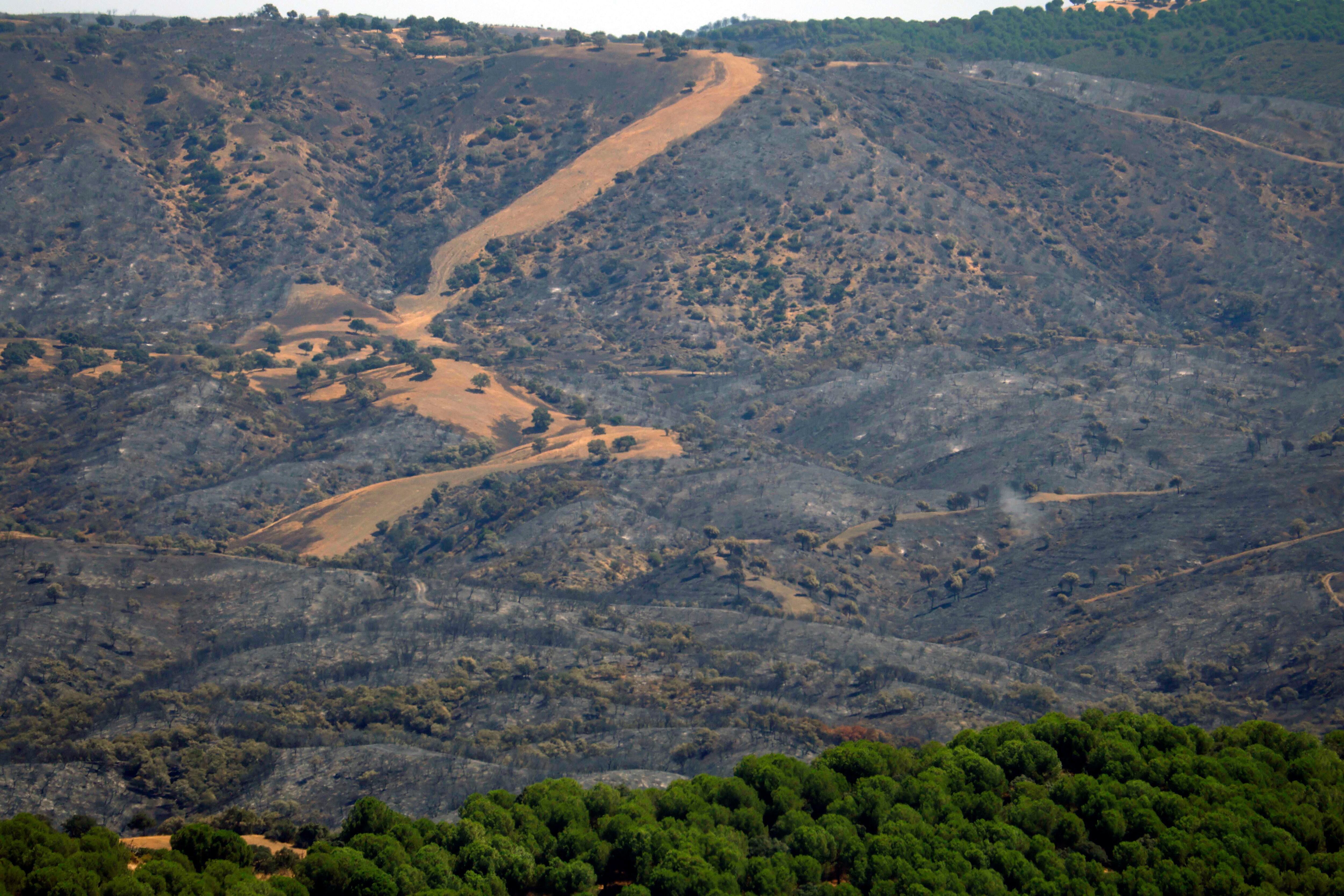 GRAFAND2544. CERRO MURIANO (CÓRDOBA), 15/07/2024.- Superficie quemada en el incendio forestal que comenzó en la base militar de Cerro Muriano (Córdoba) la tarde del pasado viernes, y que fuentes del Servicio de Extinción de Incendios Forestales de Andalucía (Infoca) espera que, en función de la meteorología y las carreras topográficas, el incendio activo pueda darse potencialmente por "controlado" entre las próximas 48 o 72 horas. EFE/Salas