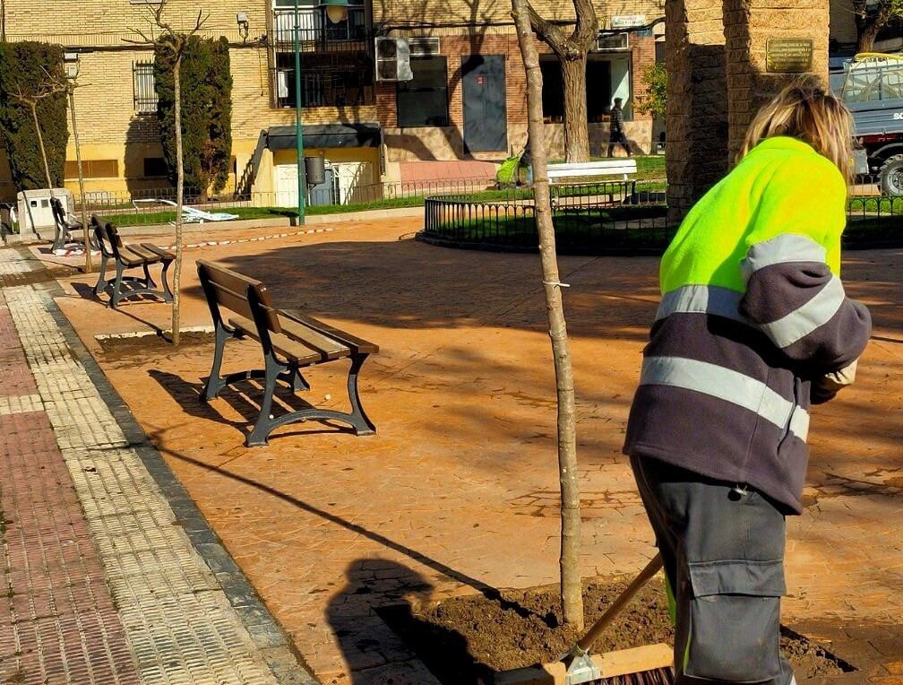 Los ejemplares se plantaron durante el primer trimestre del año