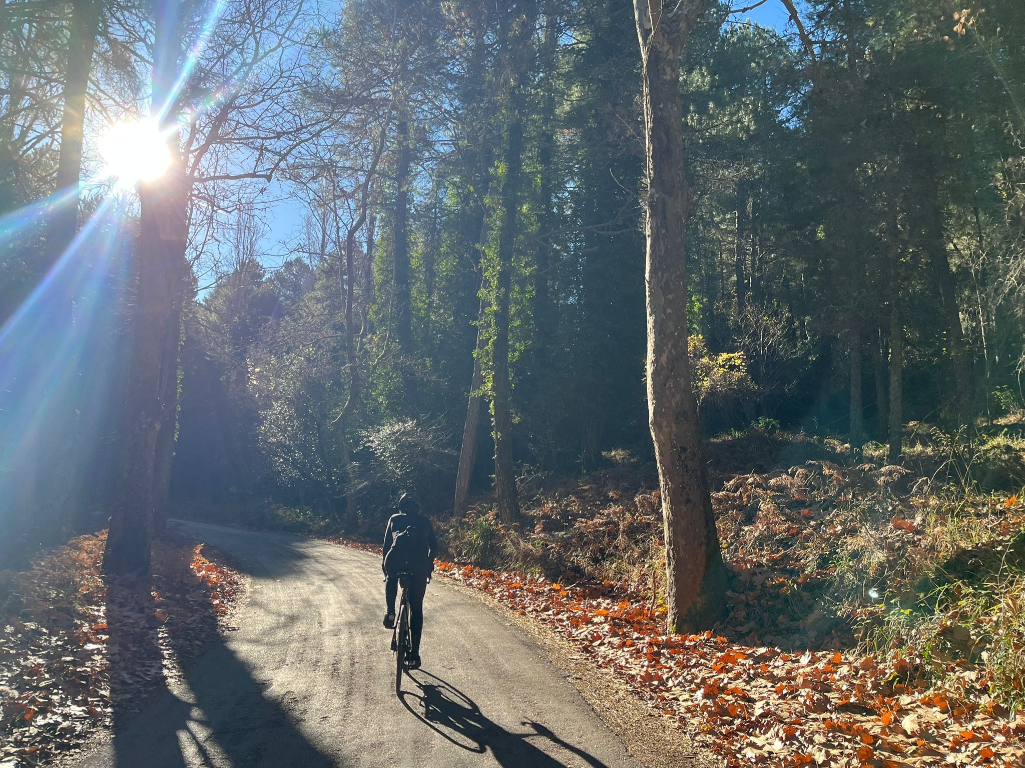 Navidad en la montaña: en busca de la soledad deseada. José Juan Luque asciende por el puerto de Navalperal. Siles, Sierra de Segura, Jaén