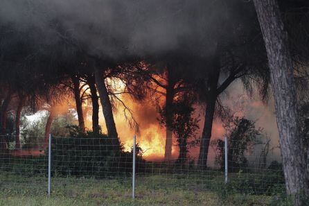 GRAFAND7867. PUERTO REAL (CÁDIZ) - Un incendio en una zona de pinares ha llevado a disolver la manifestación que los trabajadores de Airbus en la bahía de Cádiz, acompañados de empleados de la industria auxiliar aeronáutica y de representantes de diferent