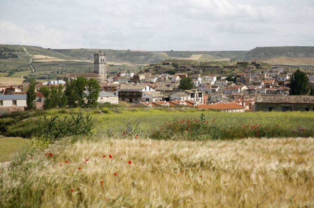 Baltanás (Palencia)