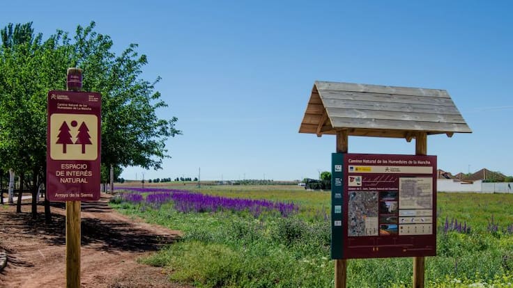 CurioSERando, con Pablo Pichaco: paseo botánico por el Arroyo de la SERna (15/05/2018)