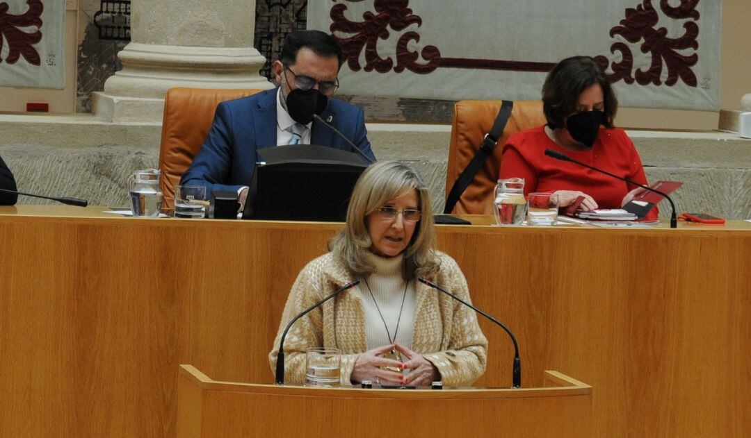 Teresa Villuendas, en su intervención en el Parlamento.