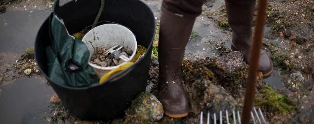 Marisqueo en Galicia