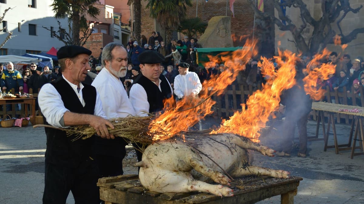 La Festa del Tossino regresa este domingo a Albelda con grandes expectativas