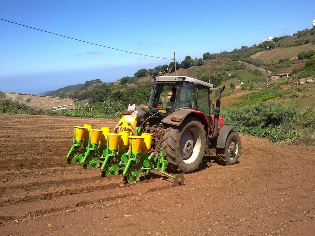 Agricultores canarios 