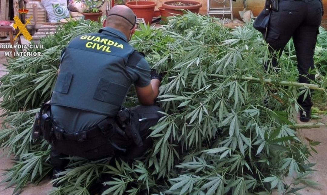 Foto de archivo de una operación de la guardia Civil en un cultivo de marihuana