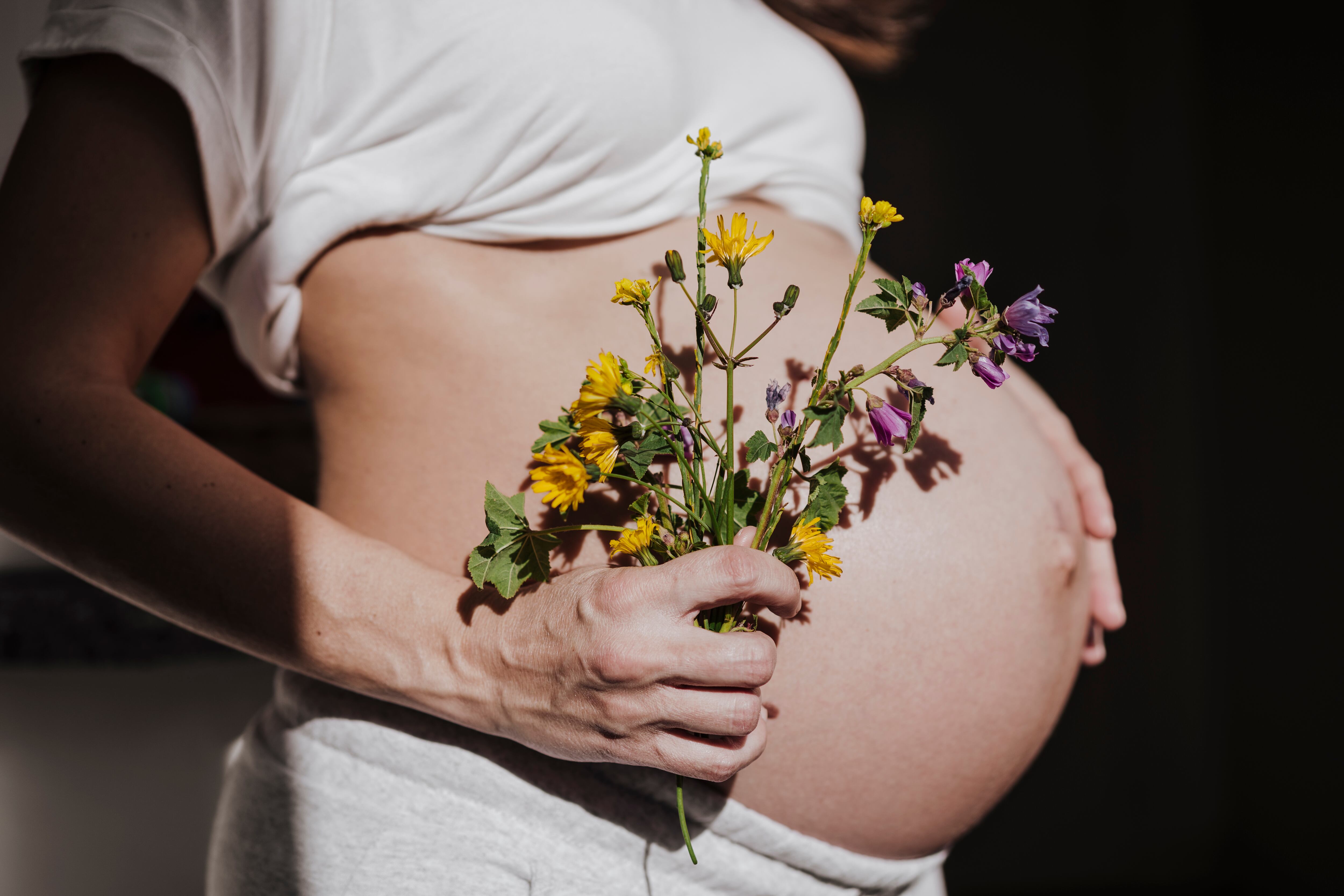 Imagen de archivo embarazada