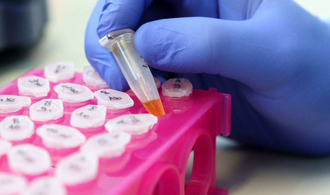 La inmunidad de Canarias al Covid es "muy inferior" a la media nacional