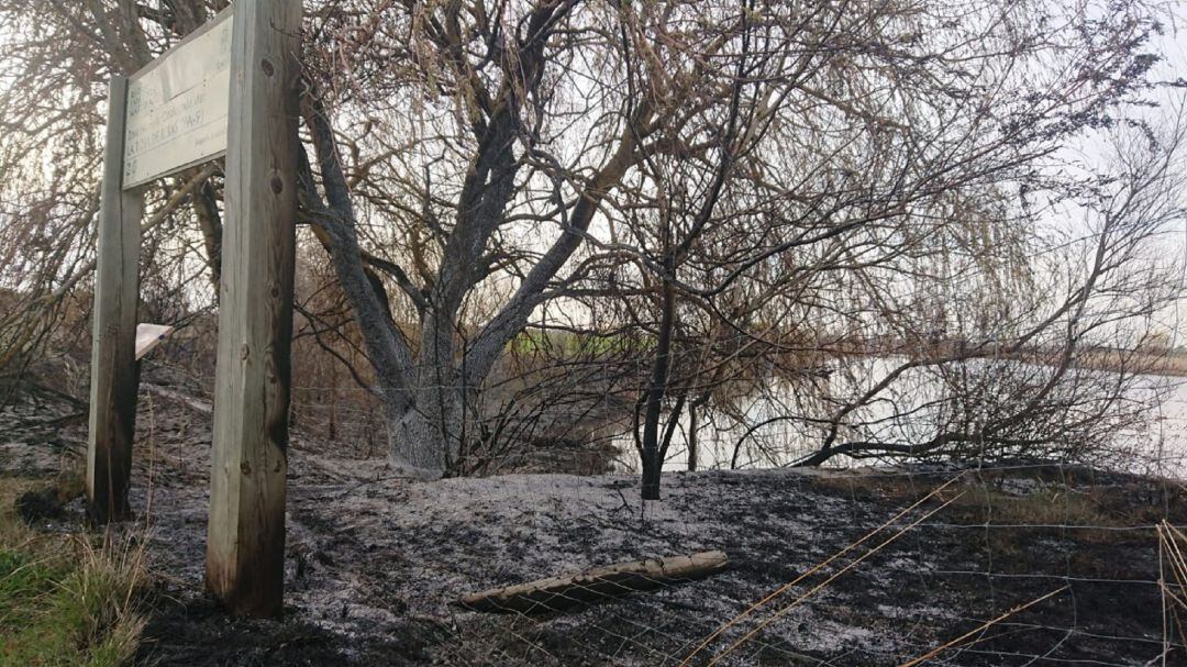 Imagen sobre los efectos de las quemas