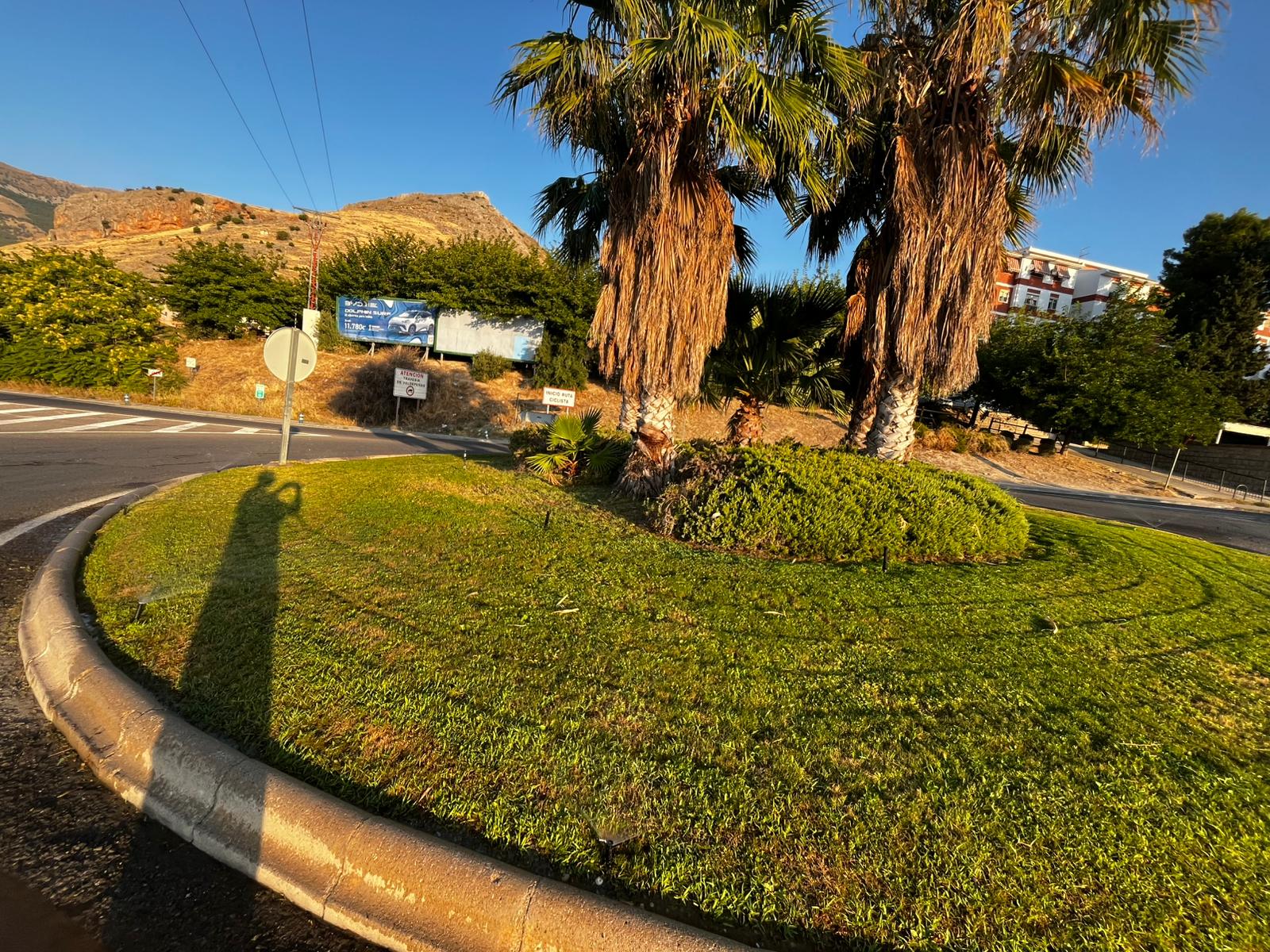 Trabajos de desbroce en Jaén para evitar incendios.