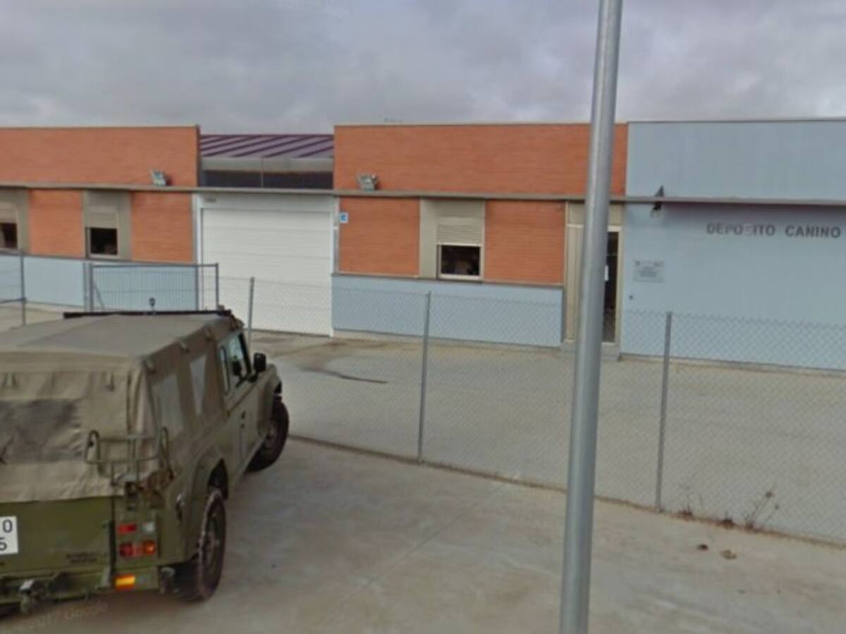 Piden al Ayuntamiento que no externalice el servicio veterinario