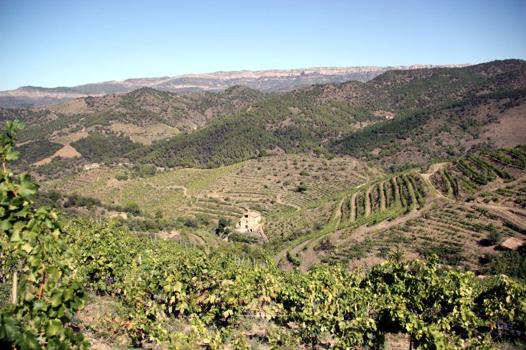 Priorat. 