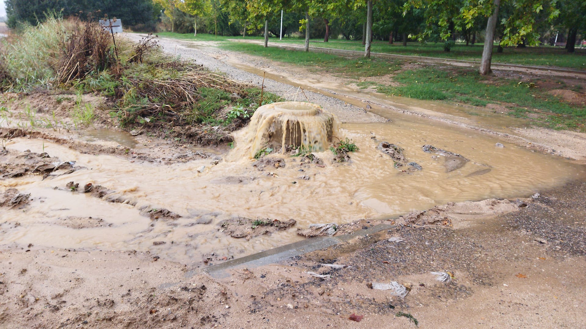 Imbornal en Azucaica durante las lluvias caídas este sábado