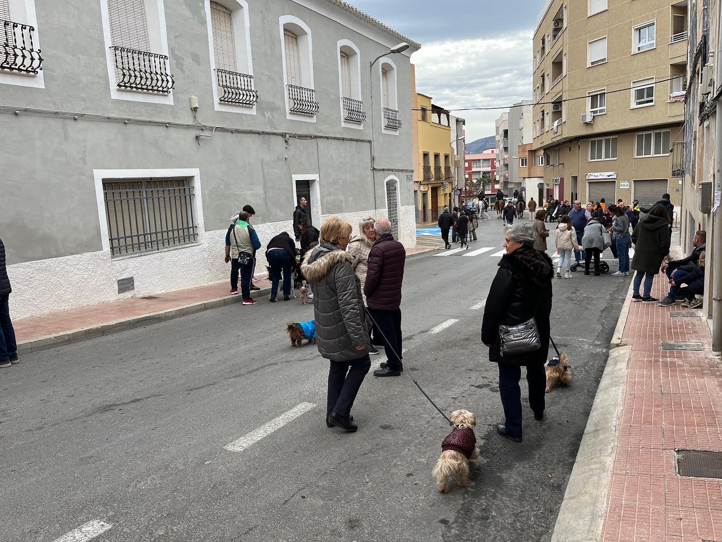 San Antón en Sax. Archivo