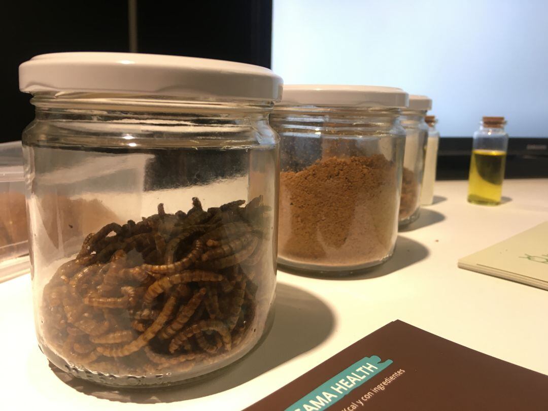 Stand de Insekt label en Food for future