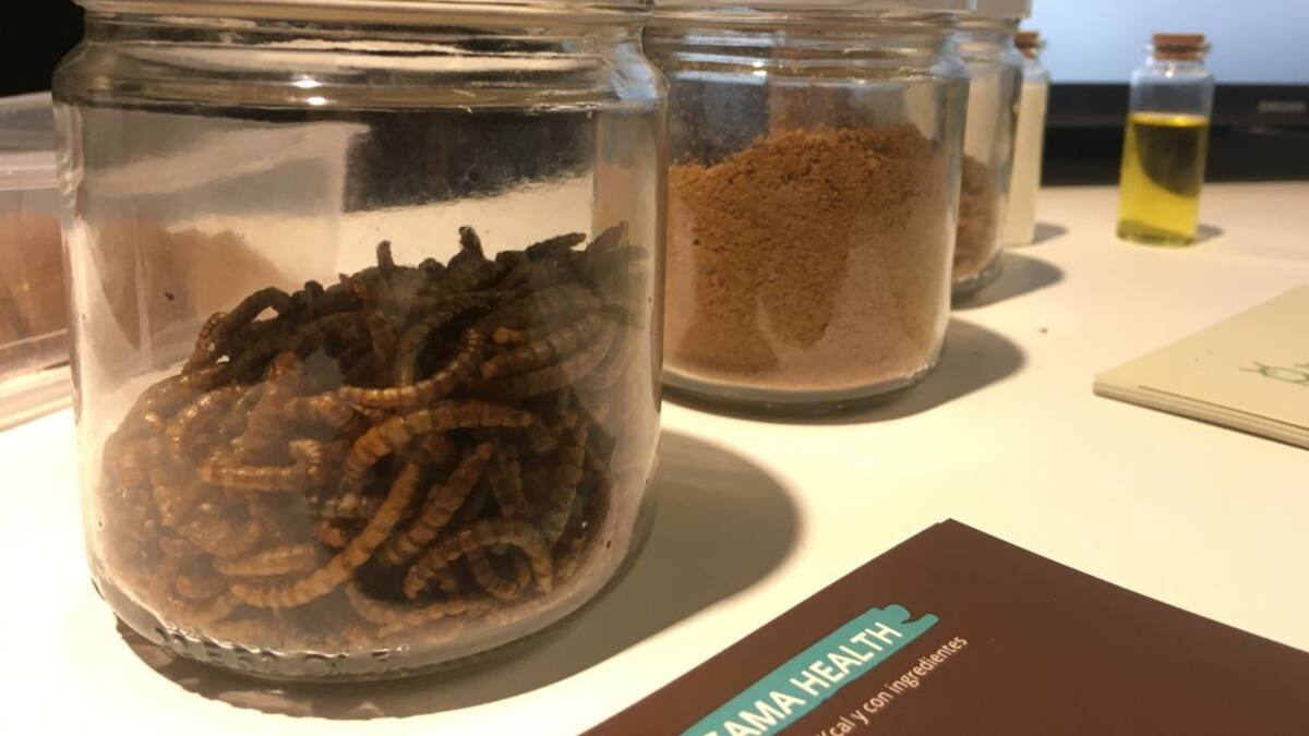 Carne sintética o insectos, la alimentación del futuro