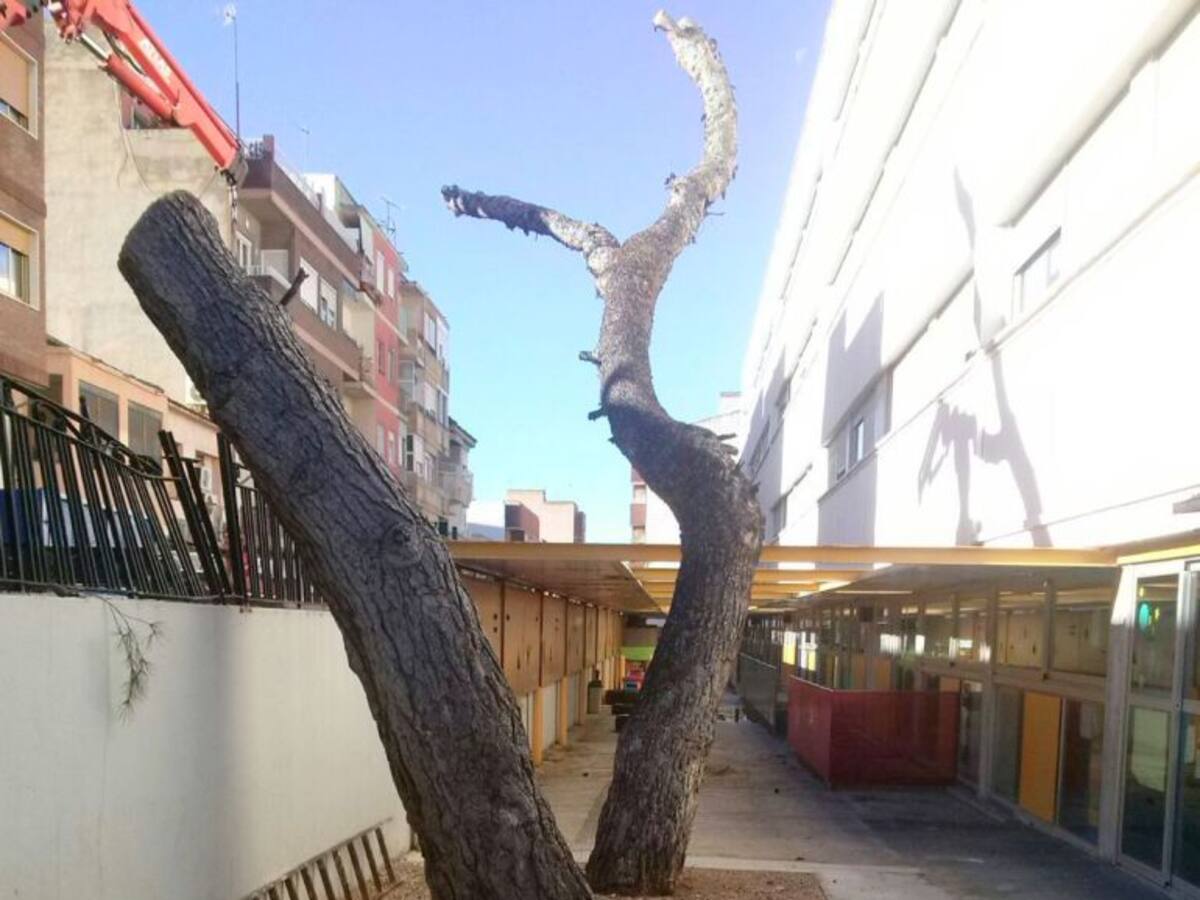 Los alumnos de infantil del Padre Manjón, reubicados tras la caída de un árbol