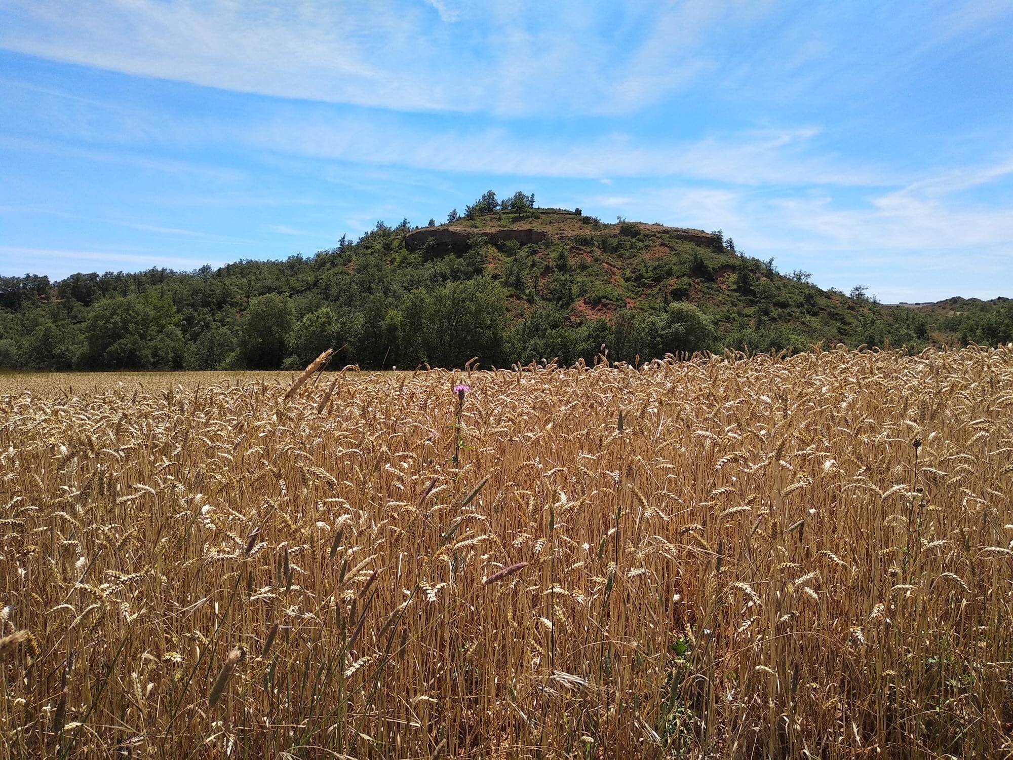 La Sociedad para el Desarrollo de la Provincia de Burgos premiará el mejor reel de Instagram que muestre el paisaje, patrimonio o gastronomía de Burgos