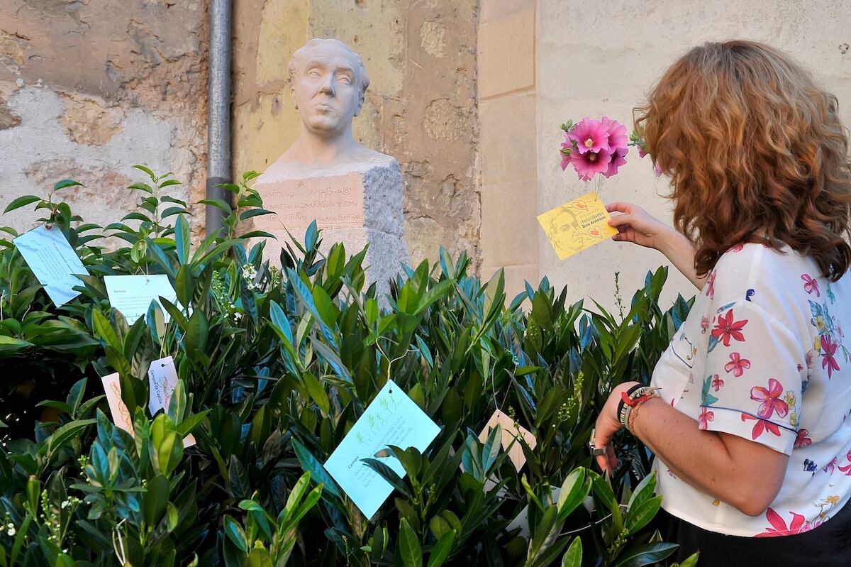 Aniversario nacimiento de Antonio Machado en la Casa Museo de Segovia