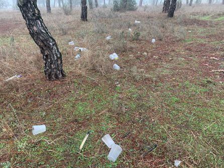 Parte de la basura que el colectivo recogió en el Pinar de Antequera