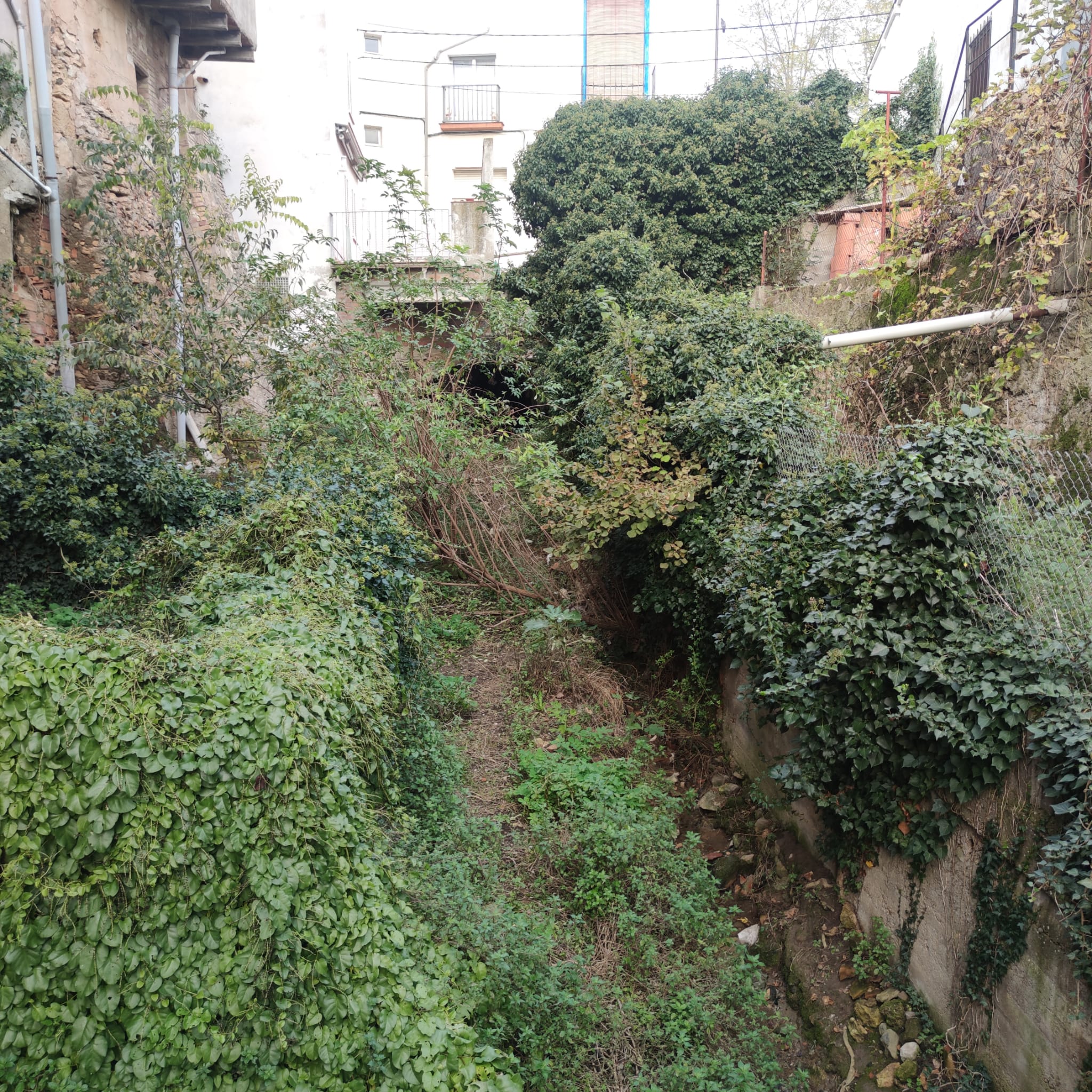 Estado del barranco Regué en Camporrells