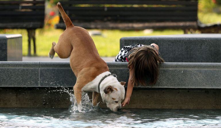 KOC02. BELGRADO (SERBIA), 30/08/2018.- Una niña se refresca junto a su perro en una fuente del centro de Belgrado (Serbia) hoy, 30 de agosto del 2018, en una jornada que ha dejado altas temperaturas en el país. EFE/ Koca Sulejmanovic