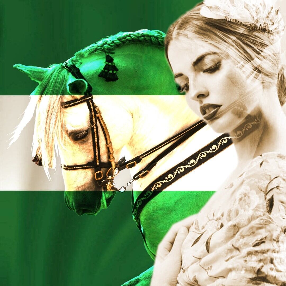 Cartel de la gala especial con motivo del Día de Andalucía