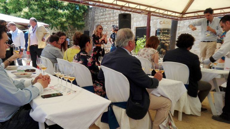 Una de las catas que se celebran estos días en Vinoble 2018