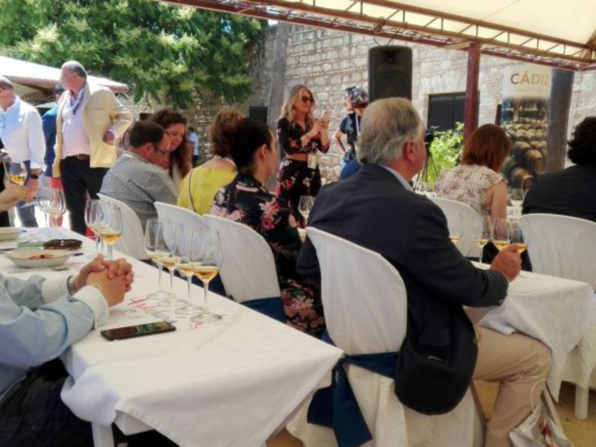 Vinoble 2024 bate el récord de asistencia con 10.000 visitas