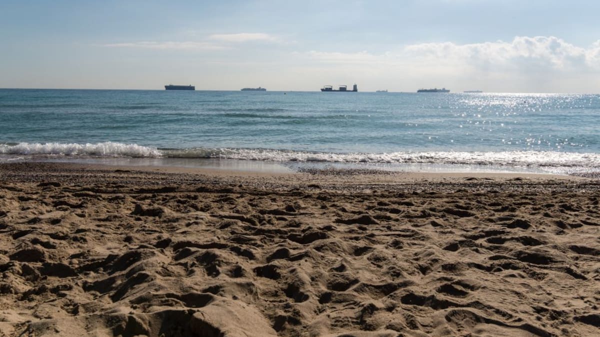 Entrevista en Hora 14 Comunitat Valenciana a Mercedes Gómez, de la asociación de vecinos de El Saler