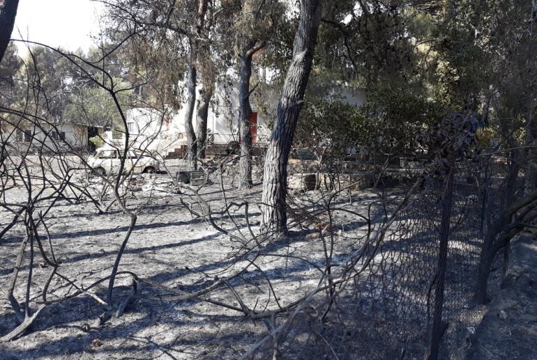 En Mati la combinacion de calor, aire y pino muy inflamable parece una de las claves del incendio