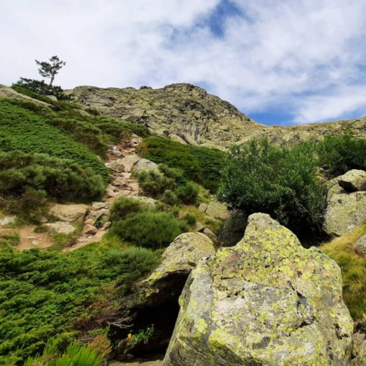 El Parque Nacional Sierra de Guadarrama se ampliará un 14% por Rascafría, Lozoya, Miraflores y Soto del Real