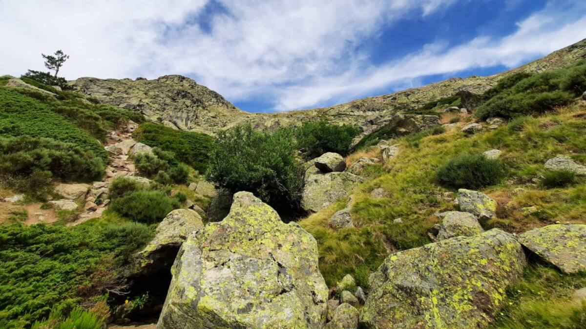 Entrevista a Irene Aguiló, Directora General de Biodiversidad Forestal de la Comunidad de Madrid, sobre la ampliación del Parque Nachional de la Sierra de Guadarrama