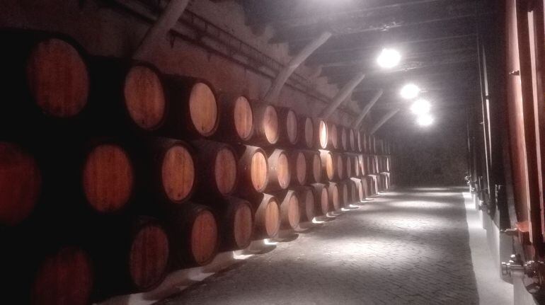 UGT insta a ASEBOR a que promueva un convenio específico de bodegas