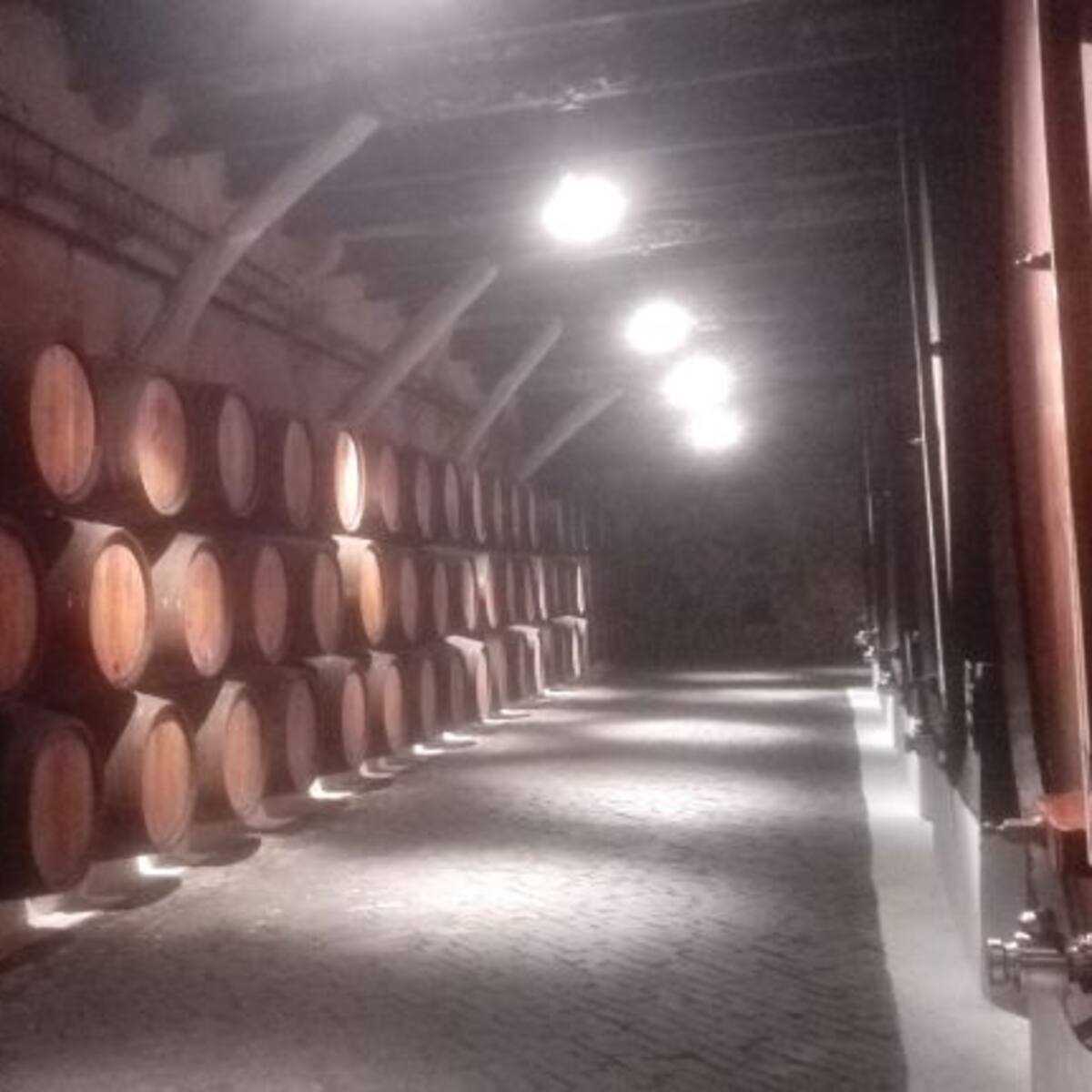 ASEBOR traslada a los partidos las necesidades del sector vitivinícola ante las elecciones autonómicas