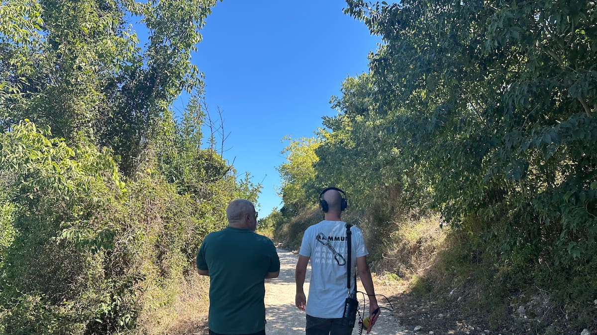 Entrevista Ferran Dalmau y Lluís Francés en "Hoy por Hoy Xàtiva" Especial Incendios Forestales