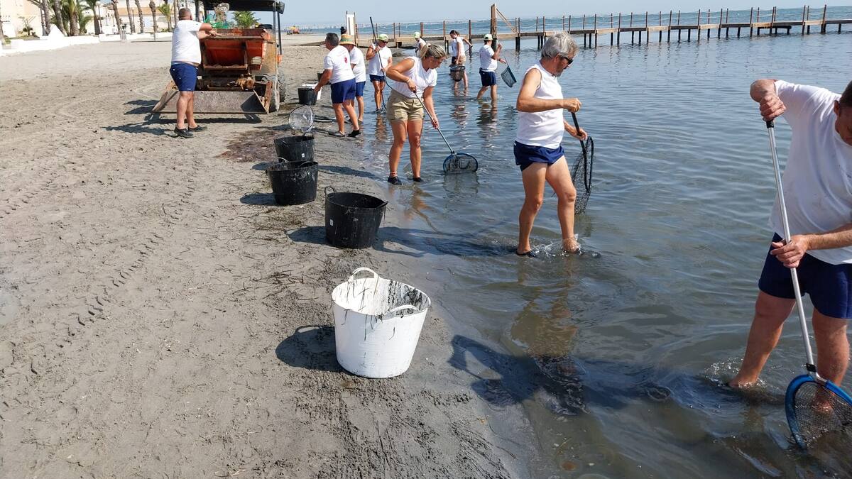Victor Serrano sobre redes antimedusas