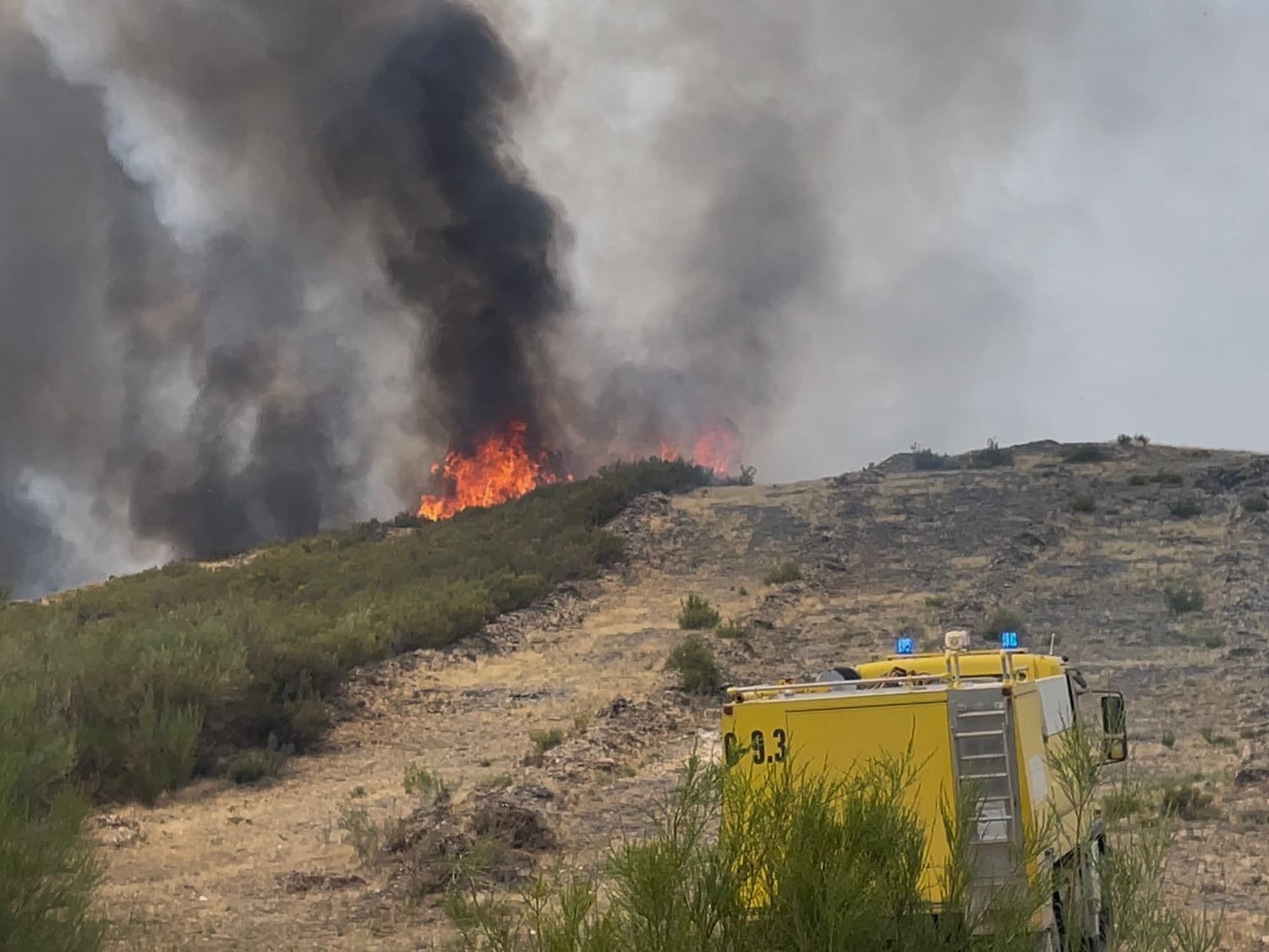 Incendio de Anllares del Sil (León)