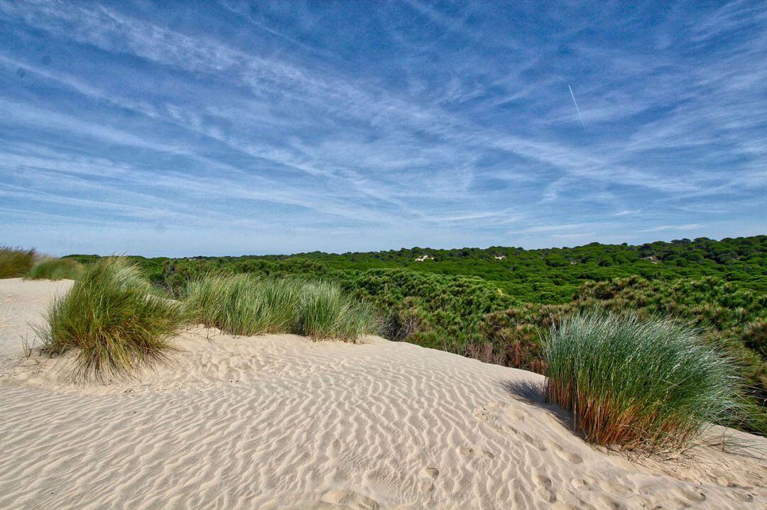 Parque Nacional de Doñana