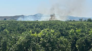 Xàtiva refuerza su compromiso ambiental con nuevas actuaciones forestales en Bixquert y la Cova Negra